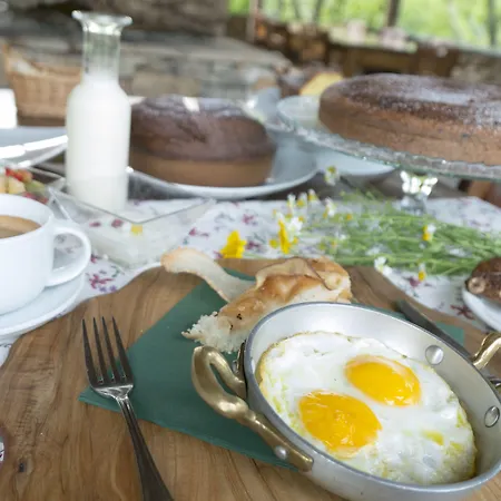 La Cerreta - Terme Di Sassetta