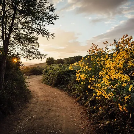 La Cerreta - Terme Di *