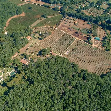 Alloggio per agriturismo La Cerreta - Terme Di Sassetta