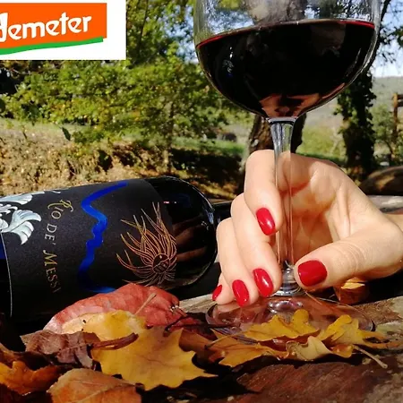 La Cerreta - Terme Di Sassetta