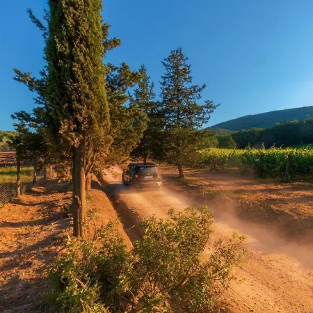 La Cerreta - Terme Di Alloggio per agriturismo Sassetta
