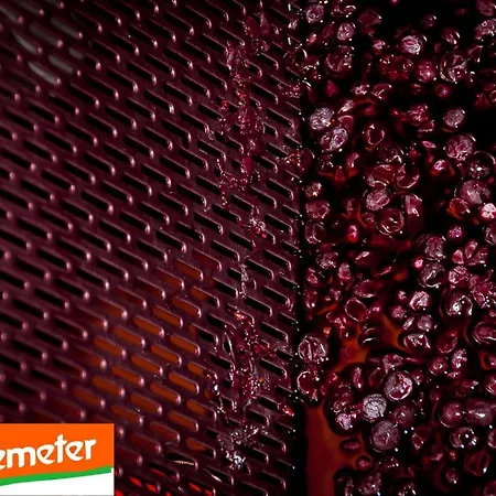 Agroturismo La Cerreta - Terme Di *