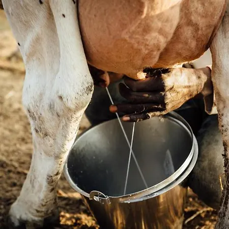 La Cerreta - Terme Di