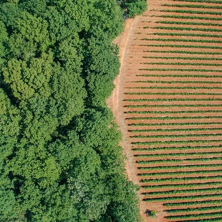 La Cerreta - Terme Di Sassetta