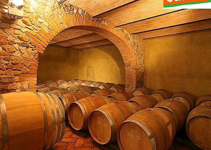 La Cerreta - Terme Di * Sassetta